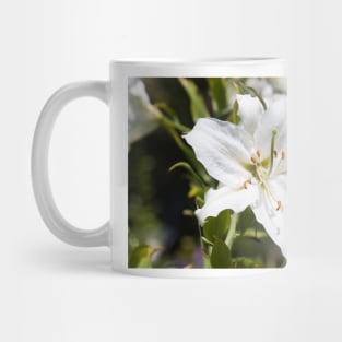 Simplicity Mug